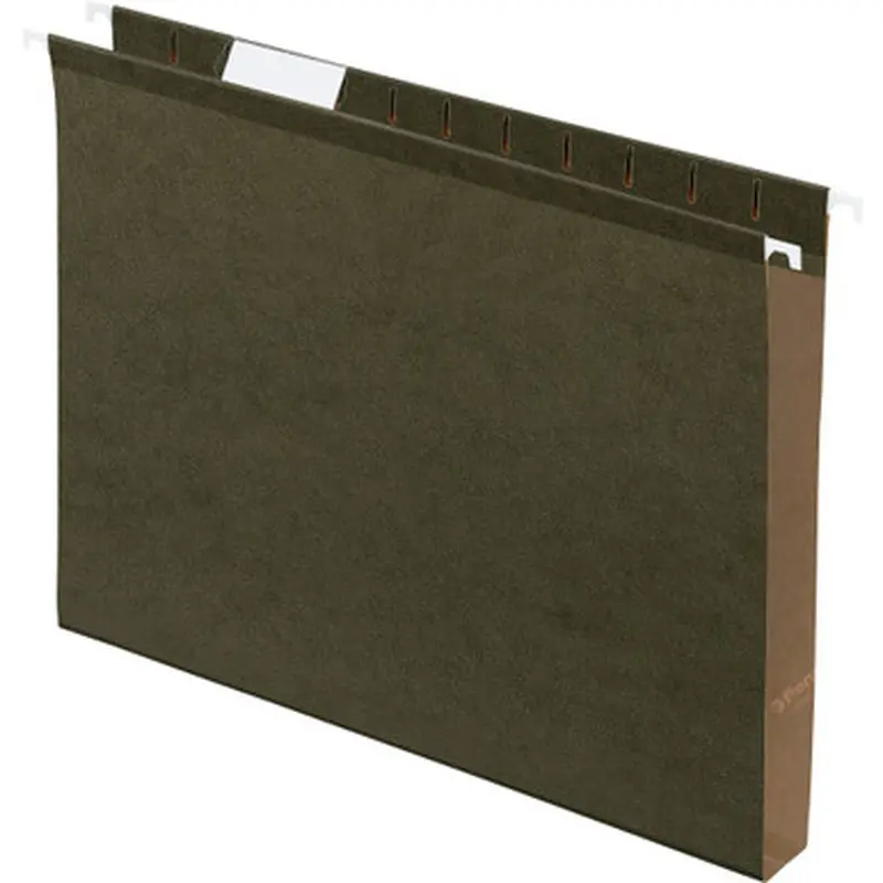 Pendaflex 4152X1 Ex-capacity Reinforced Hanging Folders