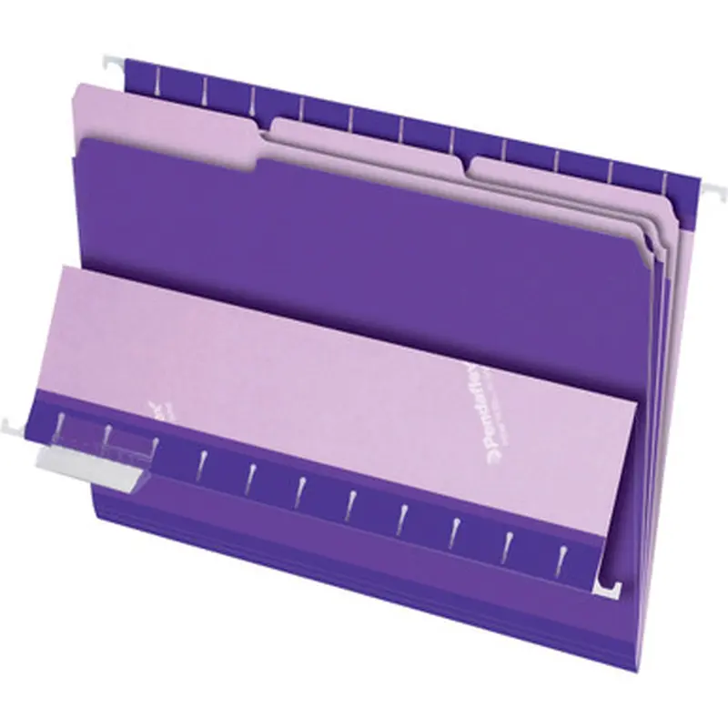 Pendaflex 4210 1/3 VIO 1/3-cut Tab Color-coded Interior Folders