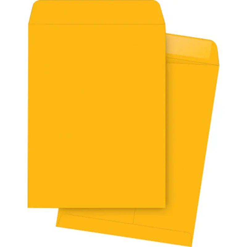 Business Source 42104 Durable Kraft Catalog Envelopes