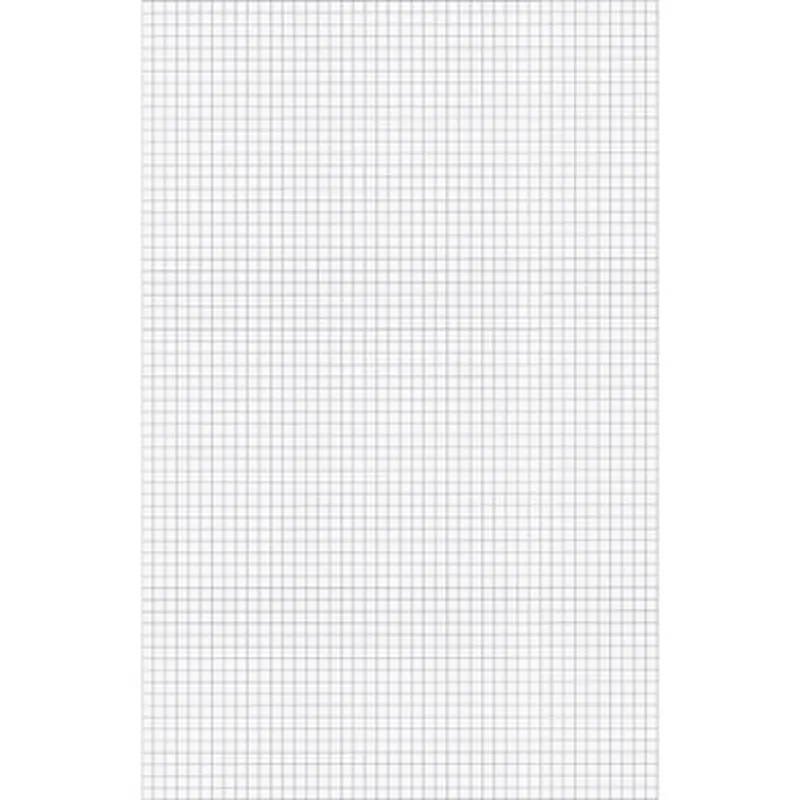 Ampad 22037 Tabloid - size Quadrille Pad - Tabloid