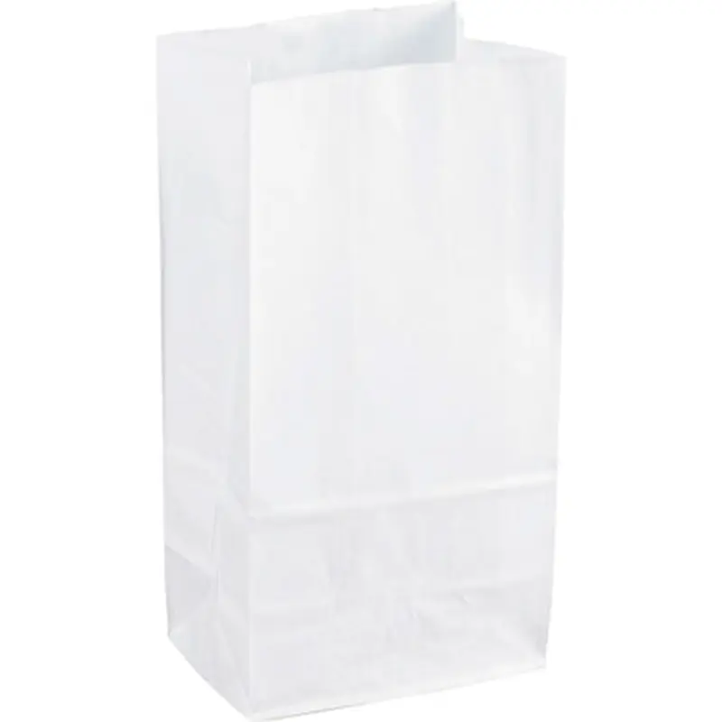 Sparco 99828 White Kraft Paper Bags