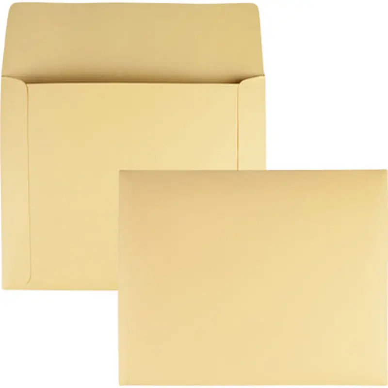 Quality Park 89604 Flat Filing Envelopes