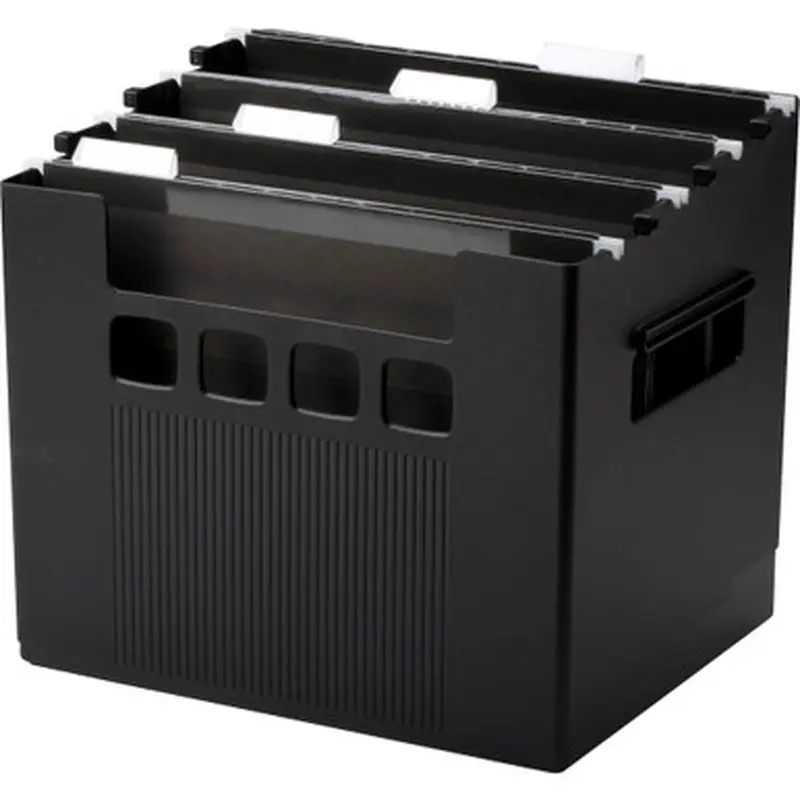 Pendaflex 43013 SuperDecoFlex Desktop Files