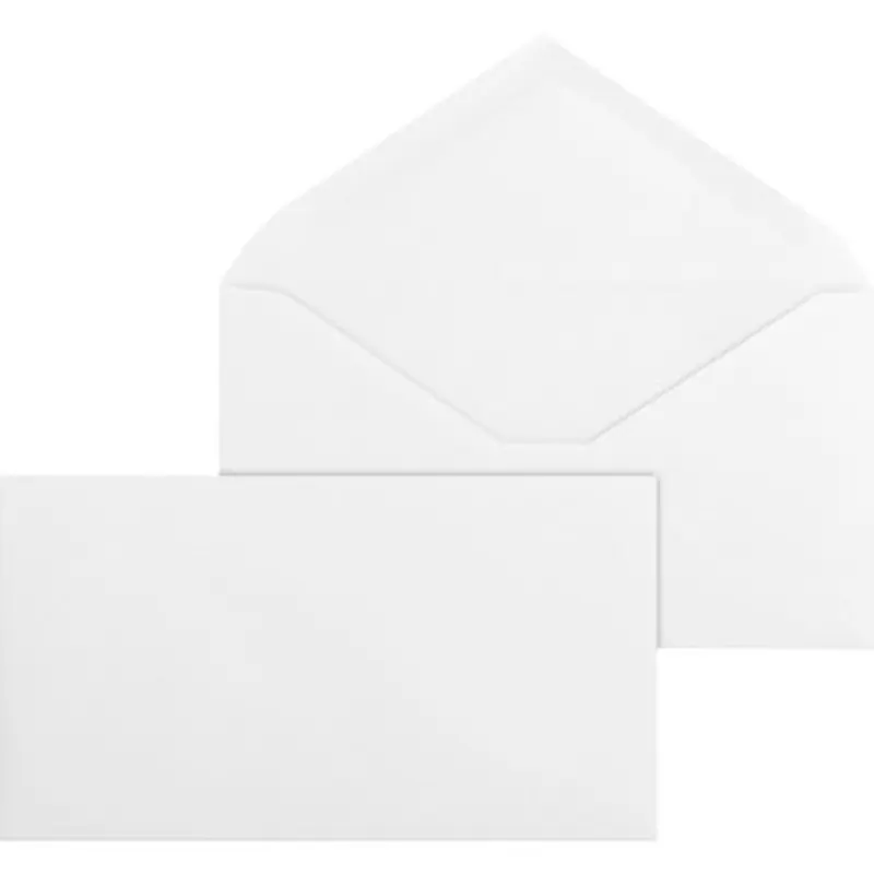 Business Source 42252 No. 6-3/4 White Wove V-Flap Business Envelopes