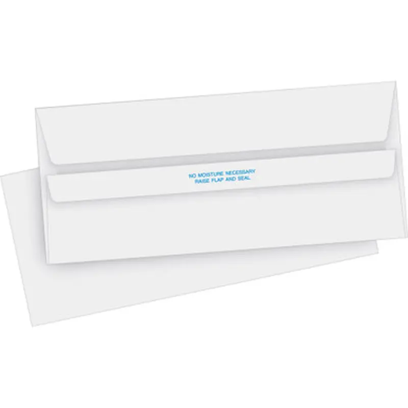Business Source 04644 No. 10 Self-seal Invoice Envelopes