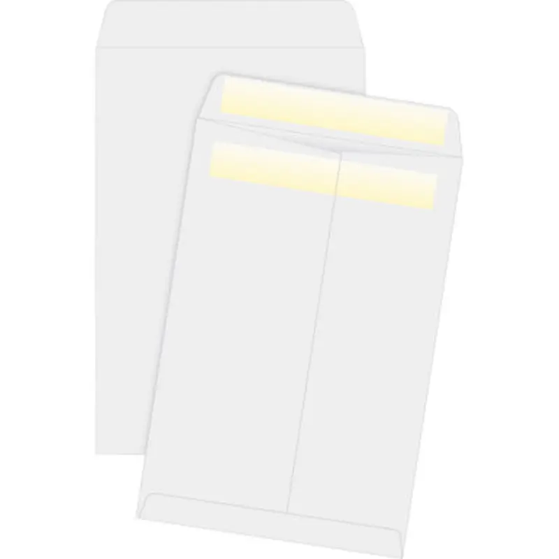 Business Source 04647 Press/Seal Catalog Envelopes