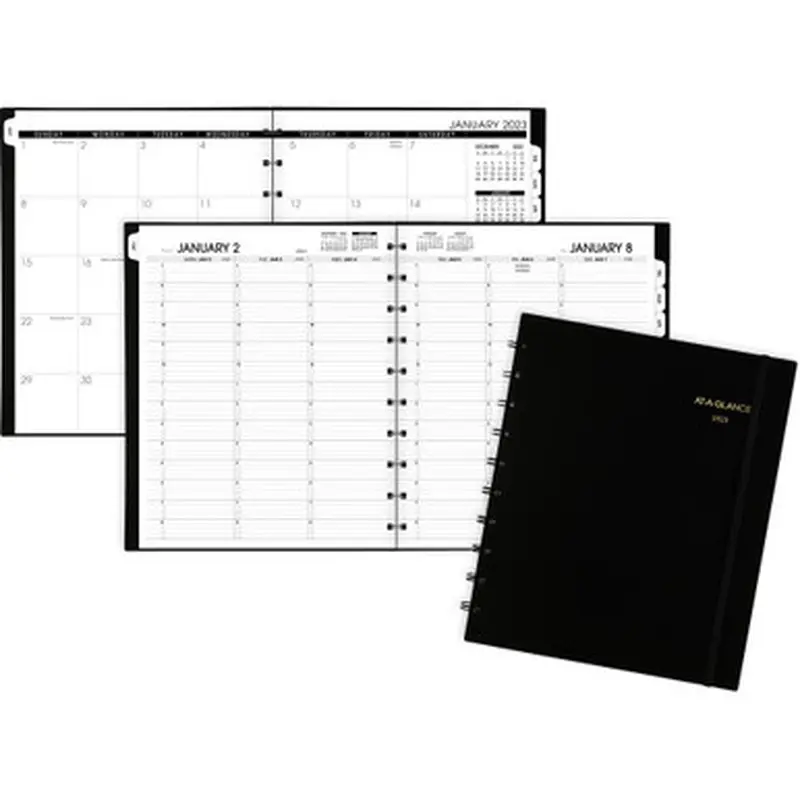 At-A-Glance 70950E05 Move-A-Page Weekly/Monthly Appointment Book