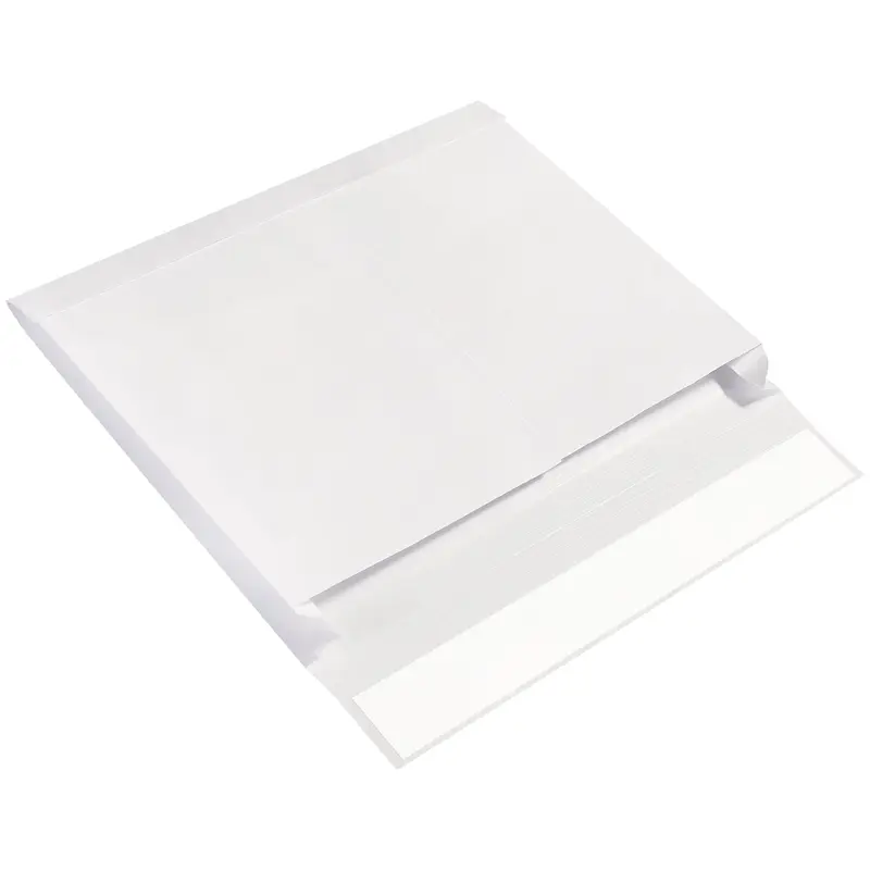 10 x 15 x 2" Expandable Ship-Lite Envelopes (SLE10152WS) Case Of 100