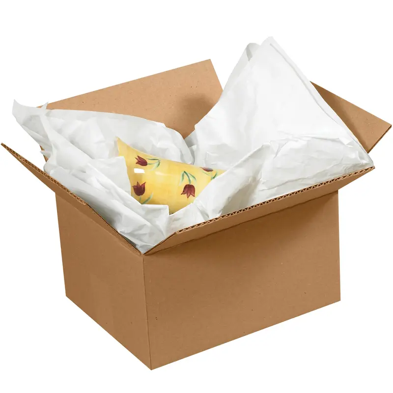 20 x 30" Economy Tissue Paper (T12030) Case Of 4800