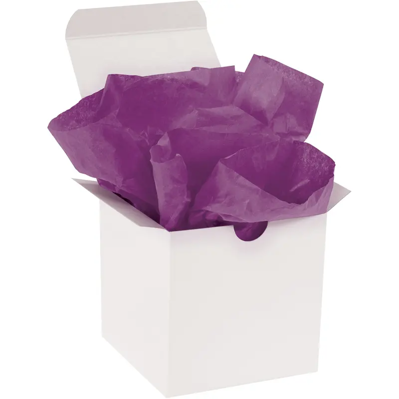 20 x 30" Plum Gift Grade Tissue Paper (T2030B) Case Of 480
