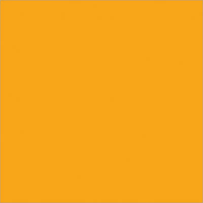 4 x 4" Fluorescent Orange Inventory Rectangle Labels (DL638H) Roll Of 500