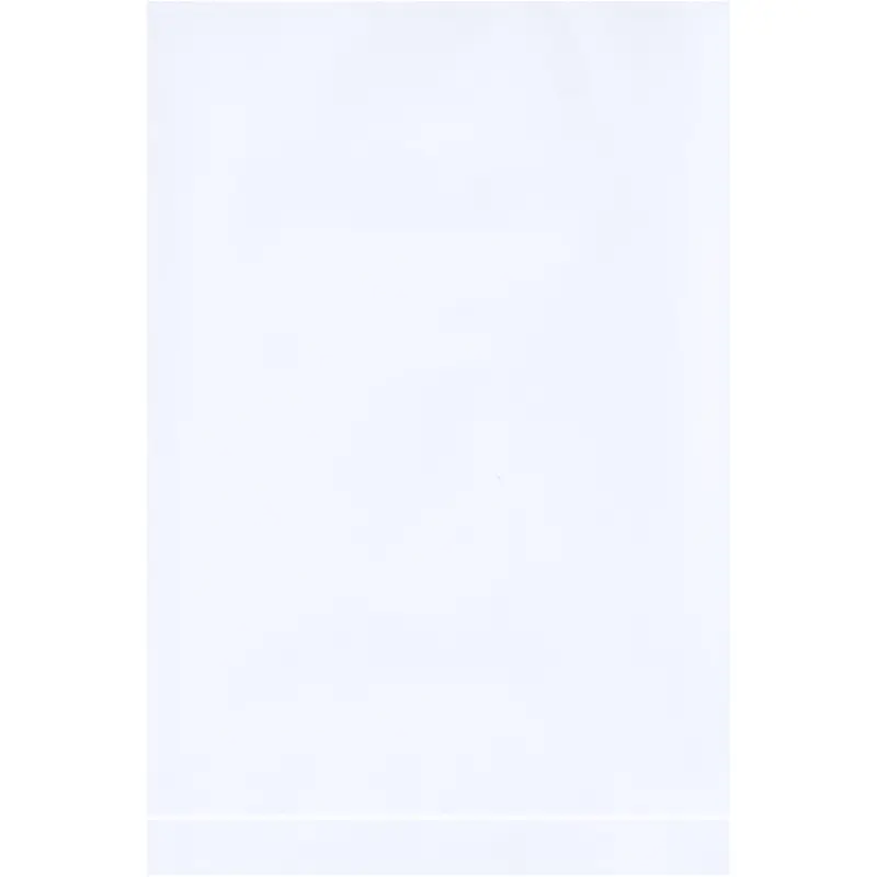 4 x 6" - 2 Mil White Flat Poly Bags (PB390W) Case Of 1000