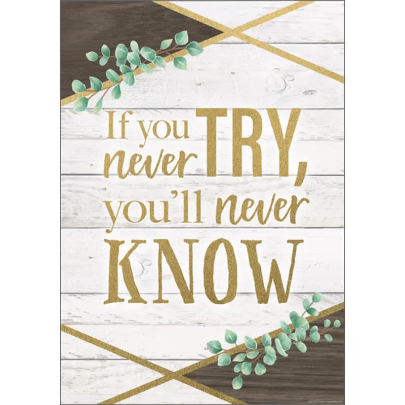 Teacher Created Resources If You Never Try, You'll Never Know Positive Poster 13" x 17" (TCR7979)