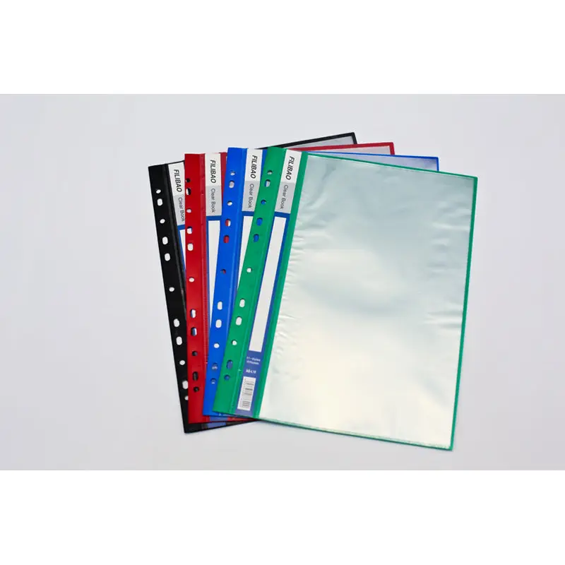 10 Pocket File-able Clear HolderAssorted