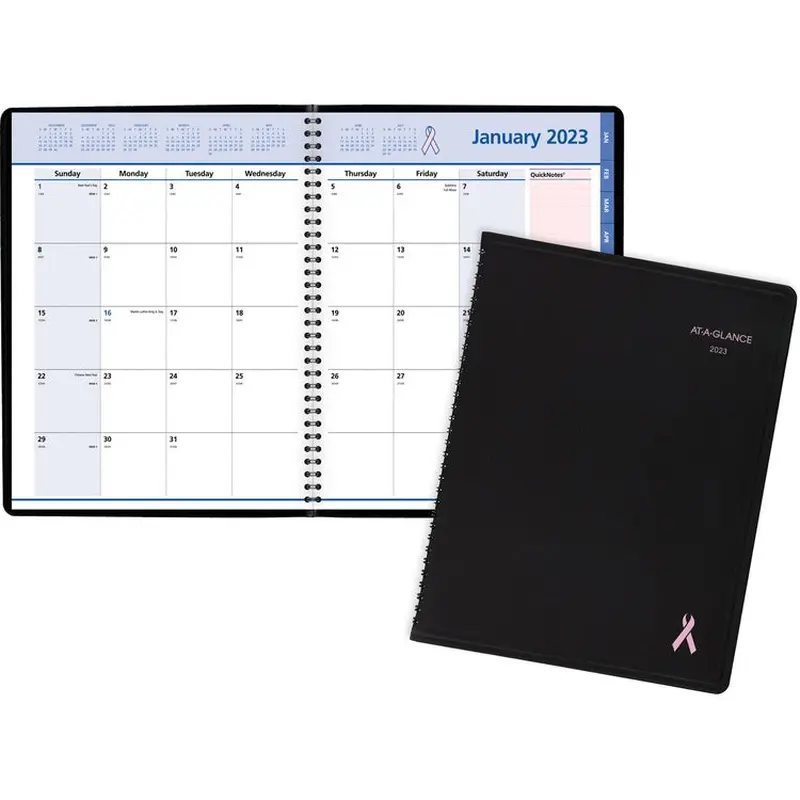 At-A-Glance Quicknotes Special Edition Monthly Planner [SKU - AAG76PN0605]EA