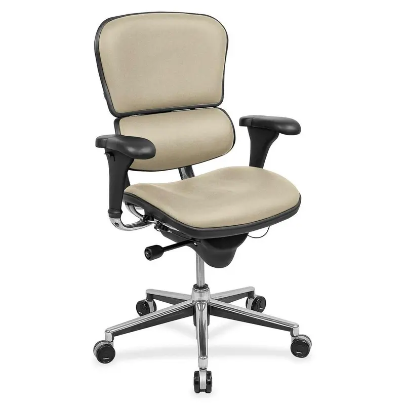 Eurotech ergohuman LE10ERGLO Mid Back Management Chair [SKU - EUTLE10LO87]EA