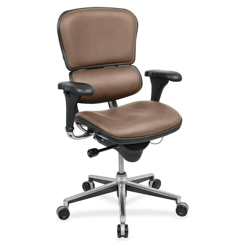 Eurotech ergohuman LE10ERGLO Mid Back [SKU - EUTLE10LO03]EA