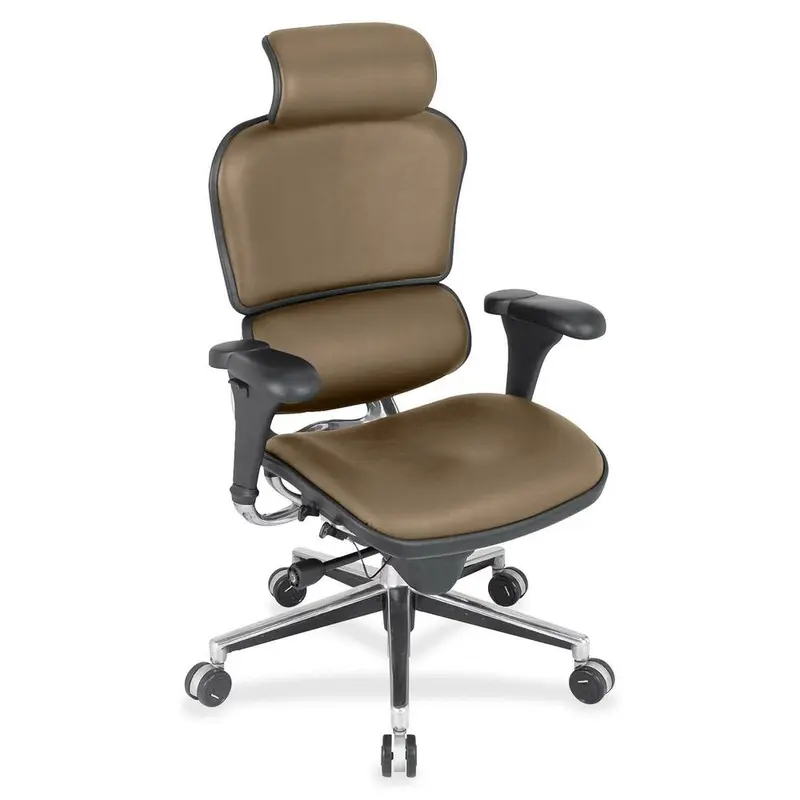 Eurotech Ergohuman Leather Executive Chair [SKU - EUTLE9ERG06]EA