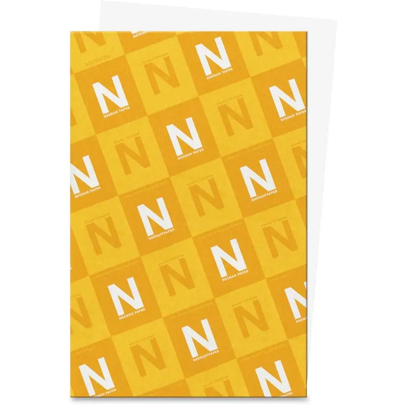 Exact Vellum Bristol Paper [SKU - WAU80213]PK
