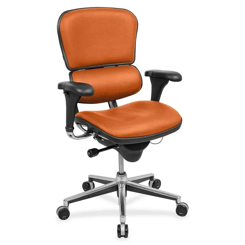 Eurotech Ergohuman Executive Chair [SKU - EUTLE10LO94]EA