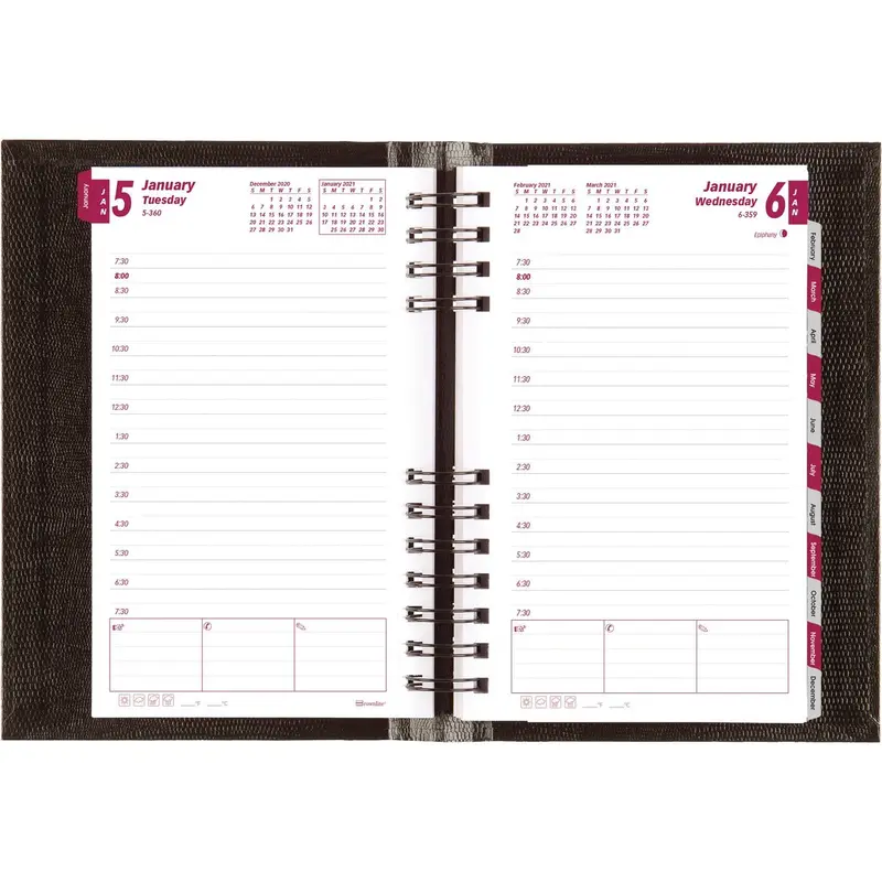 Blueline Brownline Coilpro Daily Appointment Planner