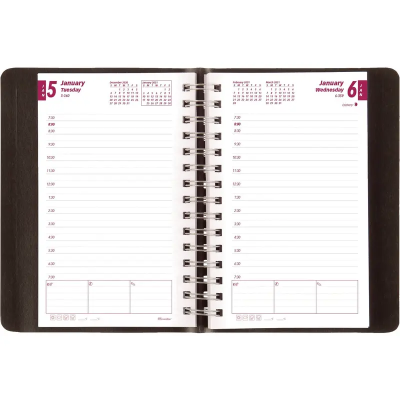 Blueline Brownline Daily Appointment Journal