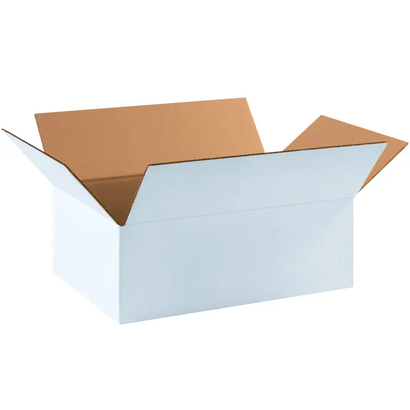 17 1/4 x 11 1/4 x 6 White Corrugated Boxes  25/Bundle