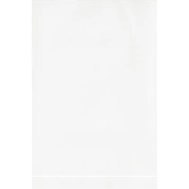 4 x 6 - 2 Mil White Flat Poly Bags 1000/Case