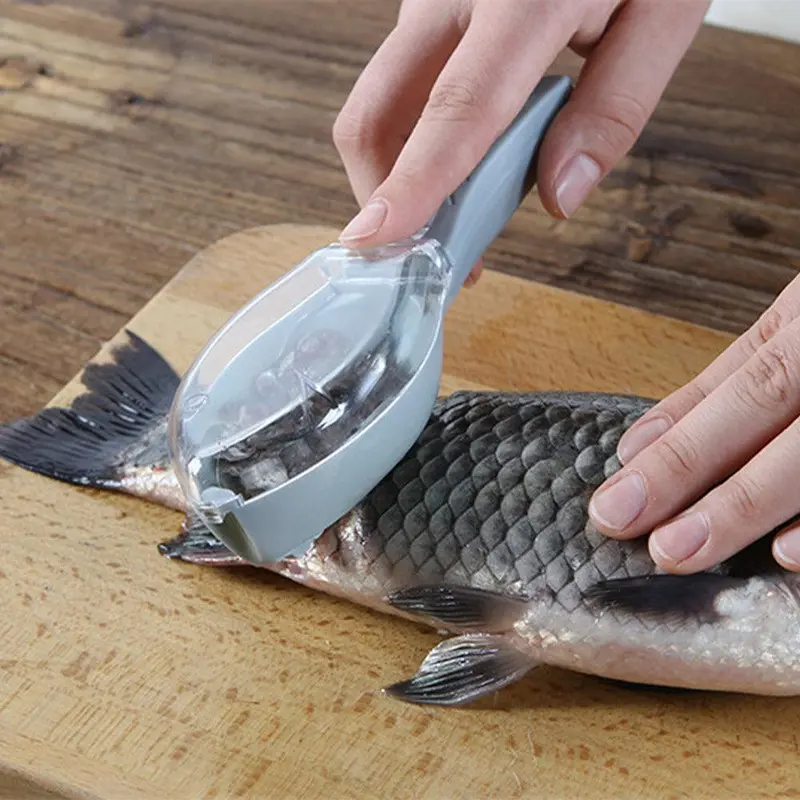 Plastic Fish Scaler / 22FK058Olive
