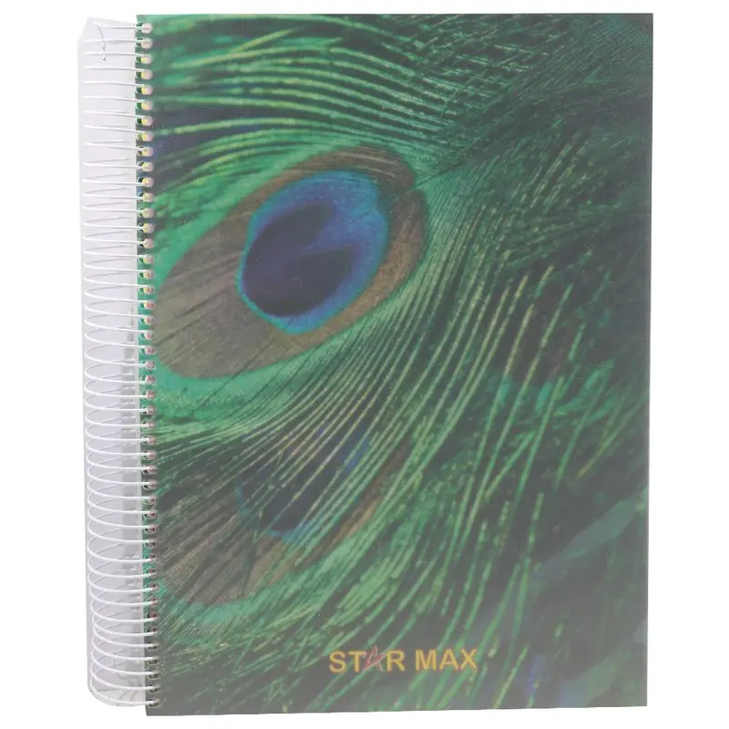 Star Max 12 subjects Copybook - 288 sheets - 576 pages - SeyesPeacock