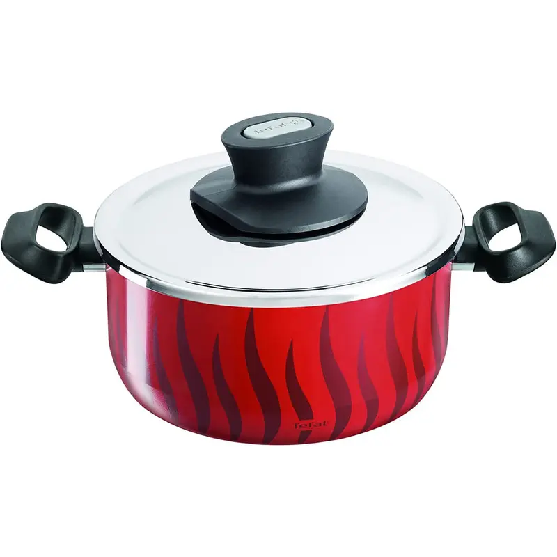 Tefal Tempo Flame Stew Pot 30 cm   Stainless Steel Lid / C3045485
